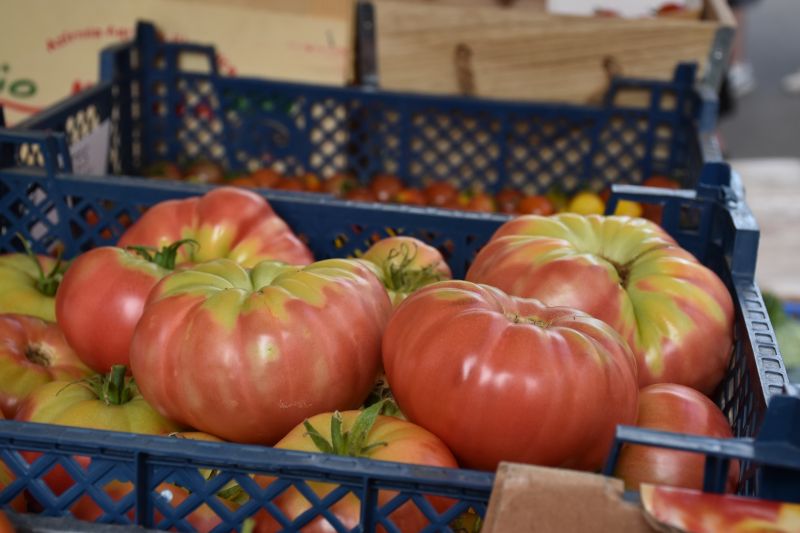 stand légumes 2023.JPG