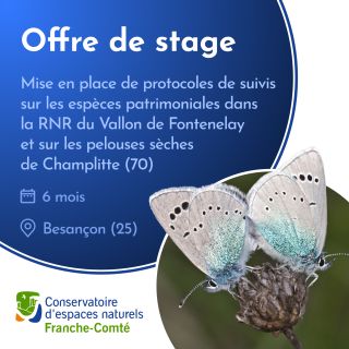 Offre de stage au Conservatoire des Espaces Naturels